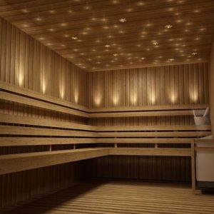 Fibre Optic Sauna Star Lighting Kit