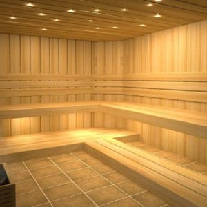 SLK Sauna Downlight Kit