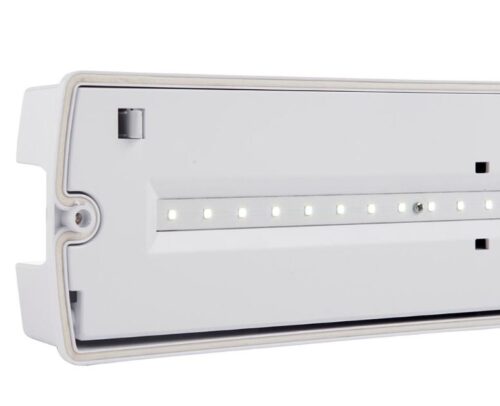 SightPRO Emergency Bulkhead 3.8W IP65 - Image 4