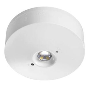 Emergency Downlight EMLO5D Surface Mount LED Maintained