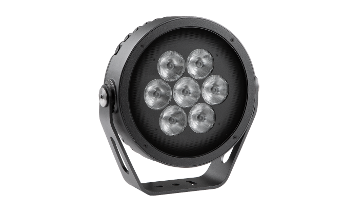 ANOLIS Calumma™ M MC - Image 2