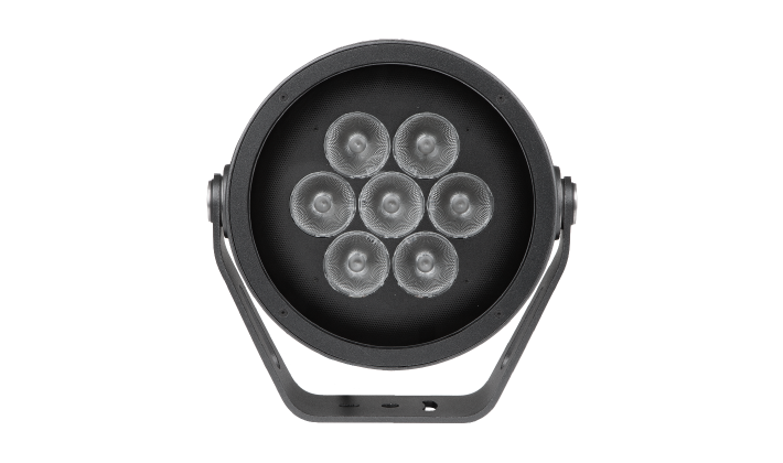 ANOLIS Calumma™ M MC