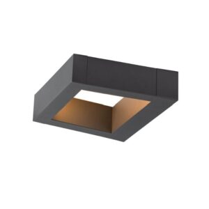 BOOKAT Anthracite Wall Mounted Light
