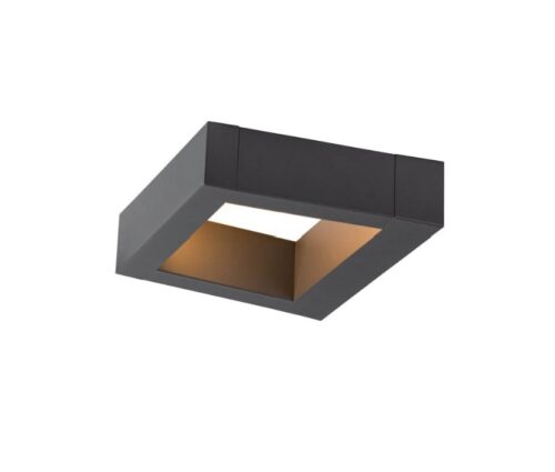 BOOKAT Anthracite Wall Mounted Light