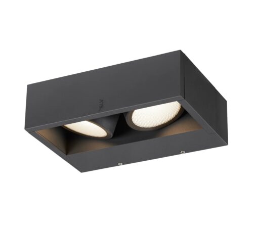 ESKINA FRAME WL Double Wall-Mounted Light Anthracite 27W 3000/4000K