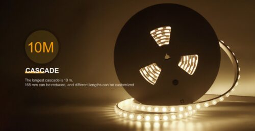 18W per Metre 24volt Tape Single Colour With Lens - Image 3