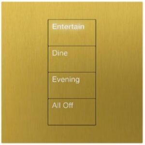 Lutron HomeWorks QS Palladiom International Keypad - Image 5