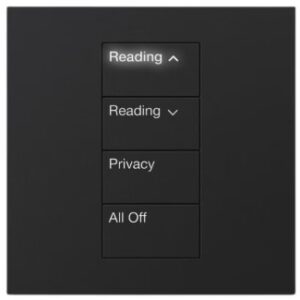 Lutron HomeWorks QS Palladiom International Keypad - Image 2